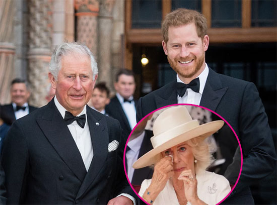 Harry se reunió con el Rey Charles pero Queen Camila no lo perdonará tan fácilmente