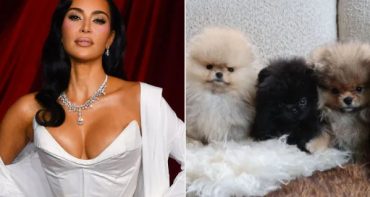 Kim Kardashian le regala perritos a sus hijos y PETA chilla