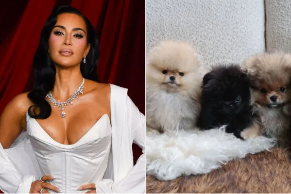 Kim Kardashian le regala perritos a sus hijos y PETA chilla