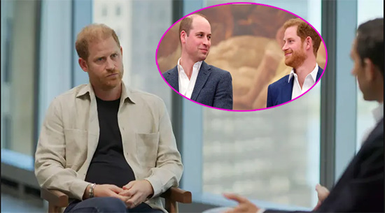 El príncipe Harry se quiere contentar con William pero hay gente que no quiere El príncipe Harry se quiere contentar con William pero hay gente que no quiere