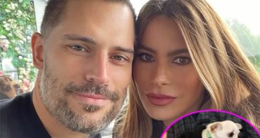 Joe Manganiello dice que Sofia Vergara lo ridiculizó por su perrita chihuahua Bubbles
