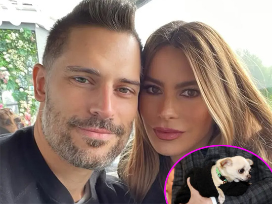 Joe Manganiello dice que Sofia Vergara lo ridiculizó por su perrita chihuahua Bubbles Joe Manganiello dice que Sofia Vergara lo ridiculizó por su perrita chihuahua Bubbles
